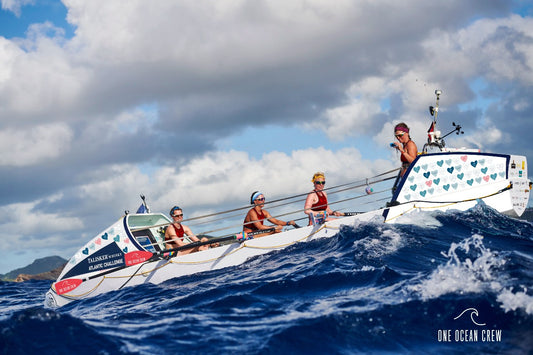 Vaquita for One Ocean Crew